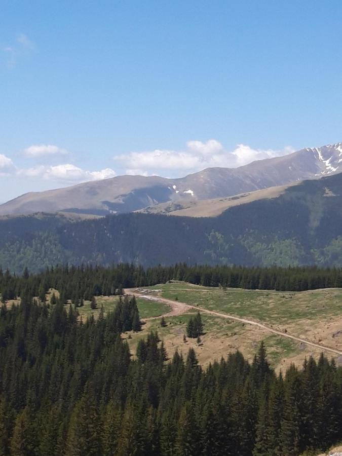 Piatra Rancii Otel Ranca Dış mekan fotoğraf