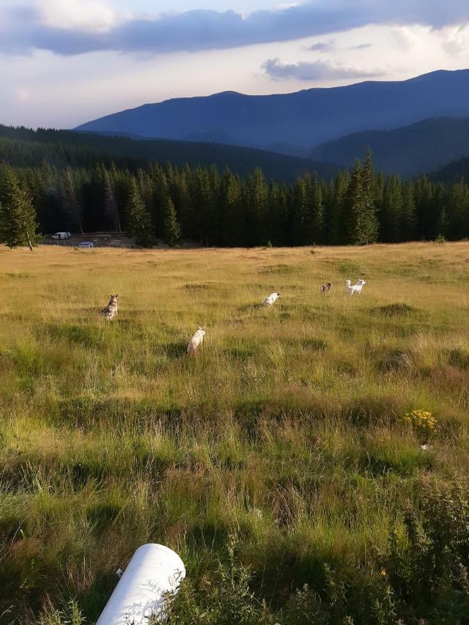 Piatra Rancii Otel Ranca Dış mekan fotoğraf